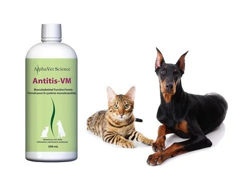 AlphaVet science Antitis-VM - Musculoskeletal Function Formula