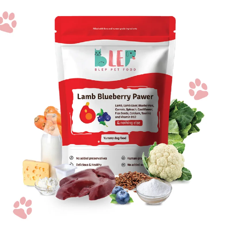 BLEP Lamb Blueberry Pawer Dog Wet Food (300g) (Limited Shelf Life)