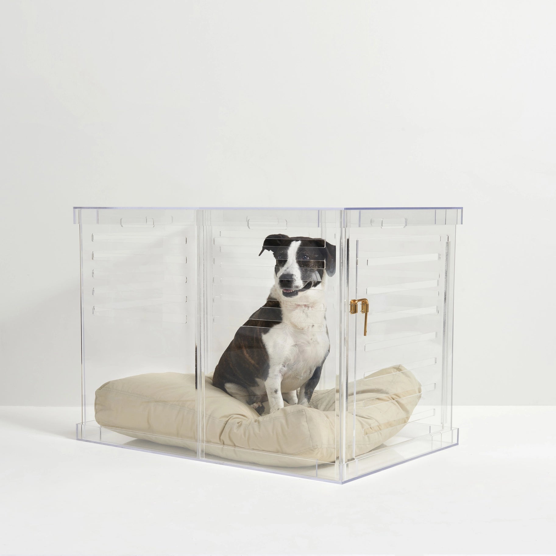 Clear Dog Crate to Gate