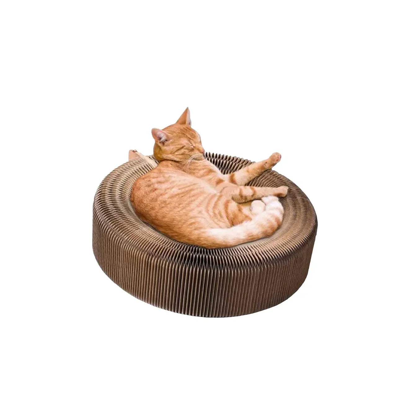 CLOE E CLUZO Collapsable Scratcher