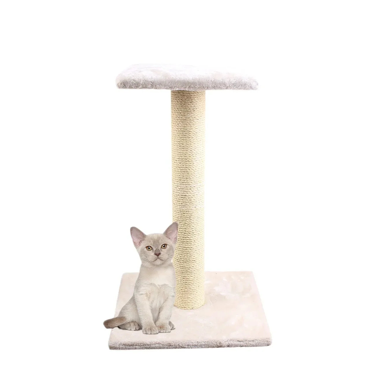 CLOE E CLUZO Iceland Scratch Post, 16"x16"x24"