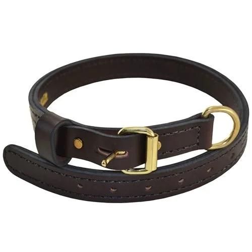 English Rein Leather Premier Collar Brown