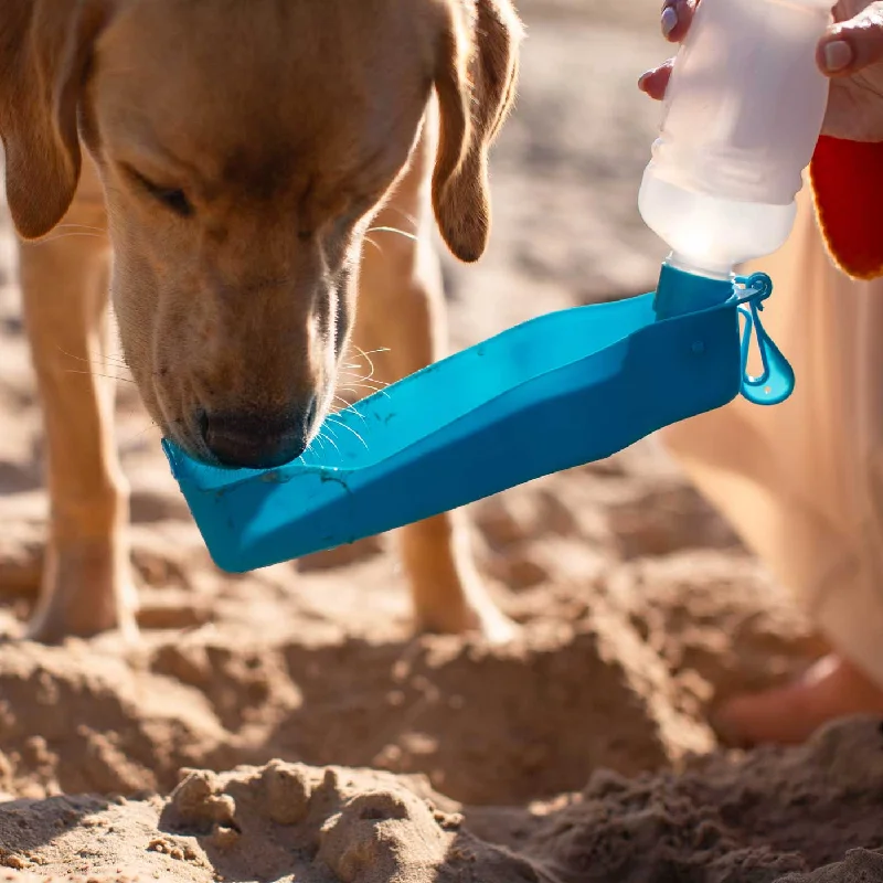 Folding Water Bottle