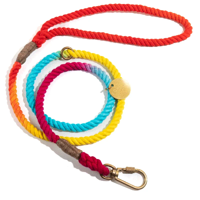 Found My Animal Rainbow Standard 5 FT Rope Lead