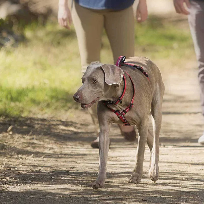 Halti Walking Harness