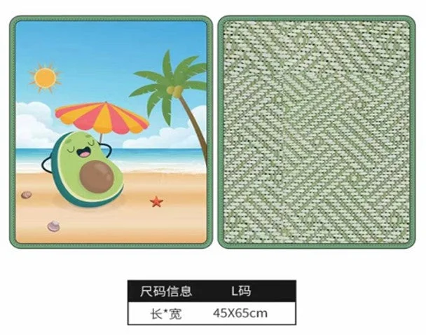 HZ 423 PET MAT 45X65CM