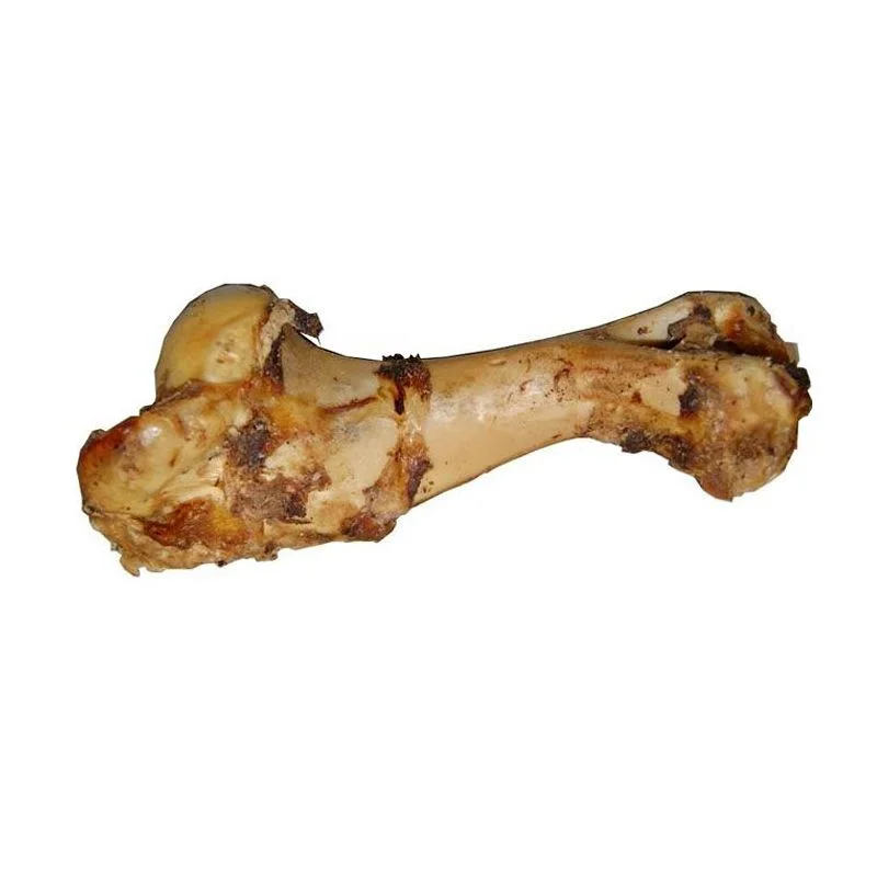 Jumbo Postman’s Leg Dog Bone (Jurassic Bones)