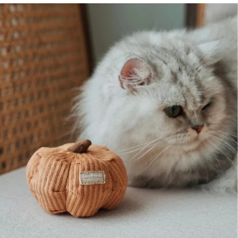 Kitty Cinderella Cat Toy