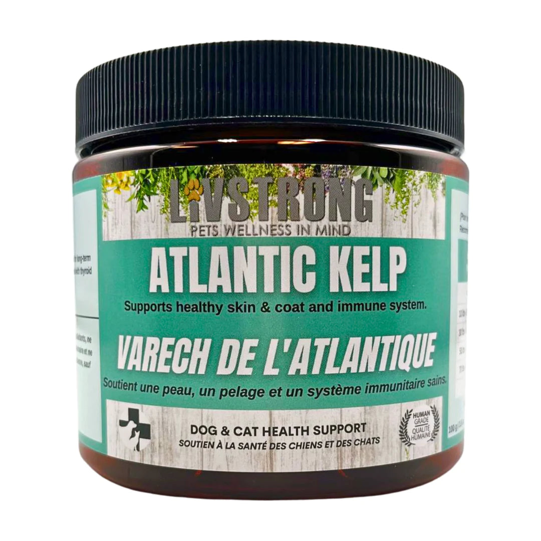 Livstrong Atlantic Kelp Powder 100g