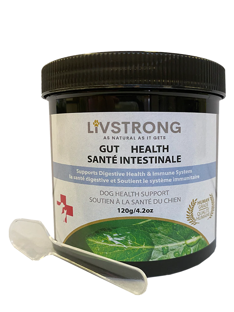 Livstrong Gut Health 120g