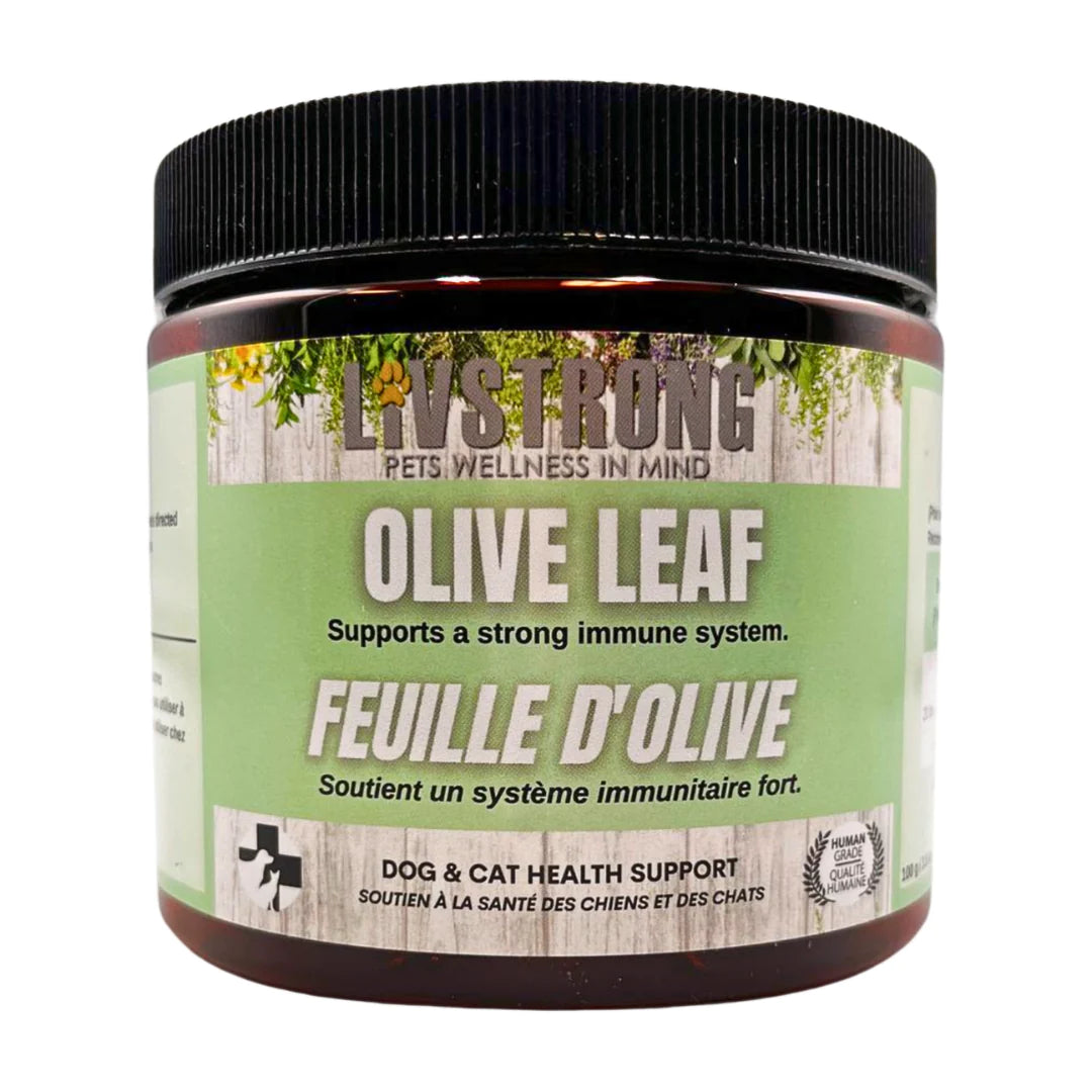 Livstrong Olive Leaf 100g