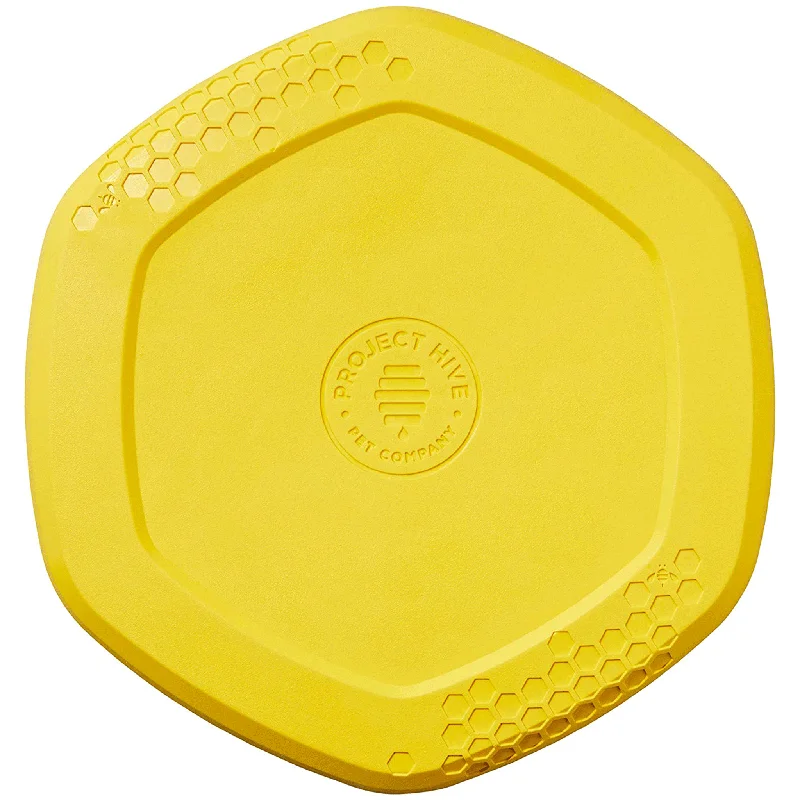 Project Hive Disc Toy