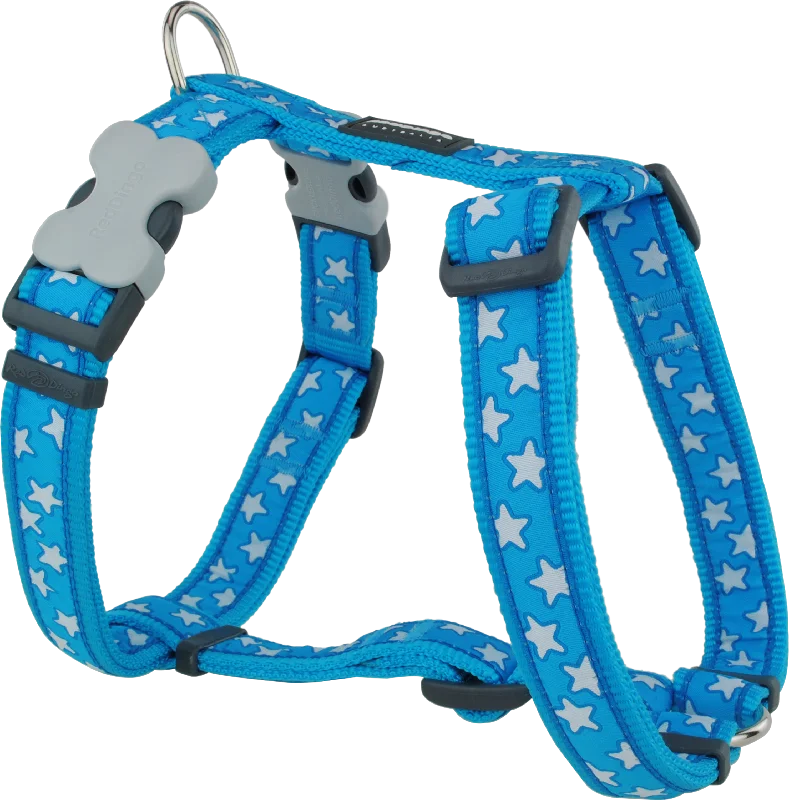 Red Dingo - Star Turquoise Harness - Large (25mm)