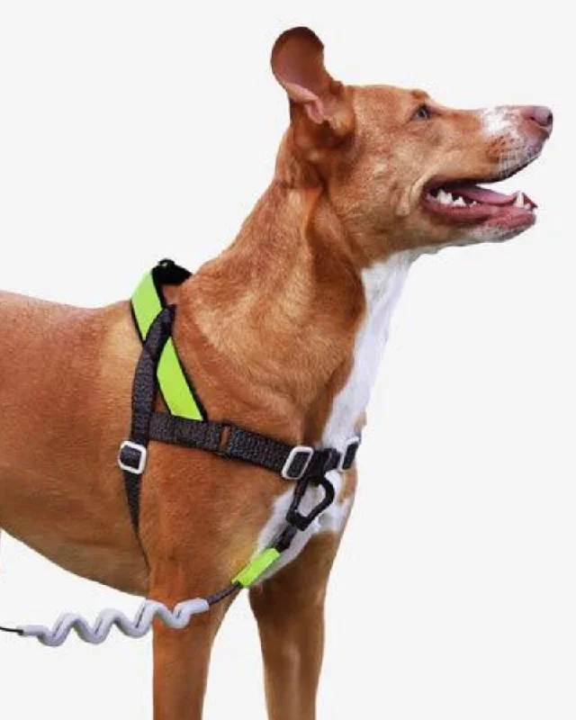 SofterWalk No-Pull Dog Harness in Reflective Nox