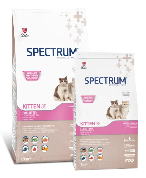 SPECTRUM KITTEN /38 CTN PRICE 12PIECS