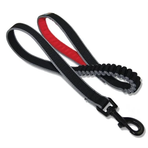 Springback Leash 30"