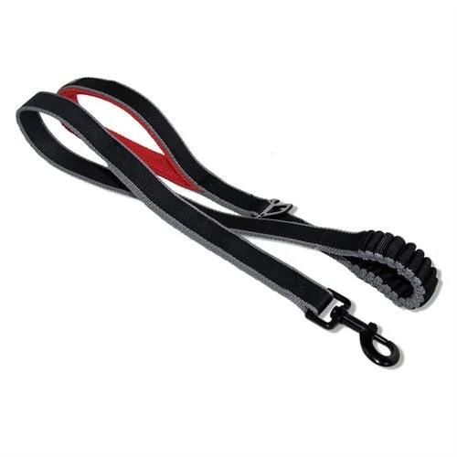 Springback Leash 48"