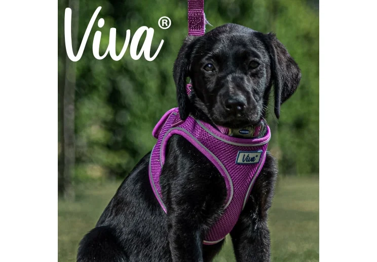 Ancol - Viva Step-in Harness - Purple - Small