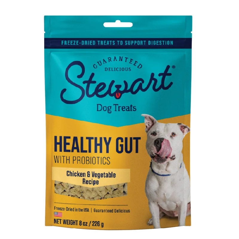 Stewart Healthy Gut Chicken & Vegetables Recipe Grain-Free Freeze-Dried Dog Treats