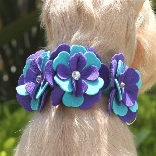 Susan Lanci Violet Collar