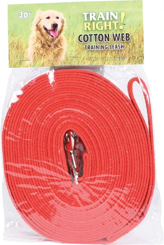 Train Right! Cotton Web Dog Training Leash