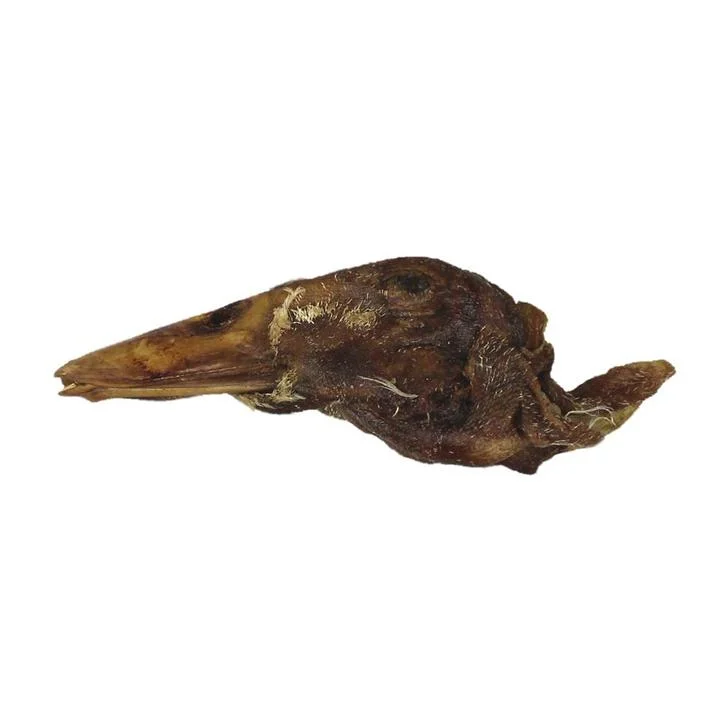 Vital Essentials Duck Head